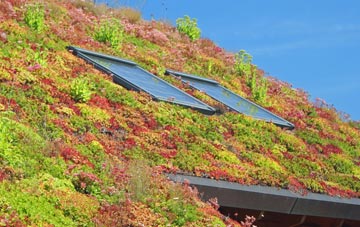 Carroway Head living roof systems