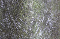 Carroway Head fibreglass roof work